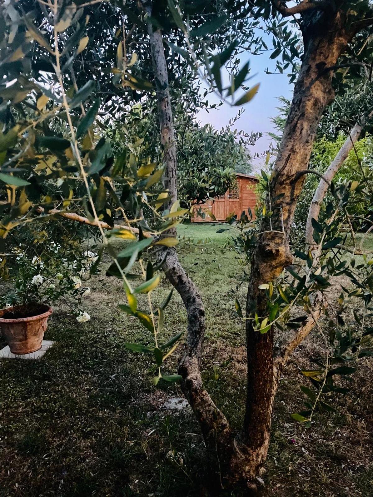 Rosso Del Chianti Bed & Breakfast Panzano in Chianti Exterior photo